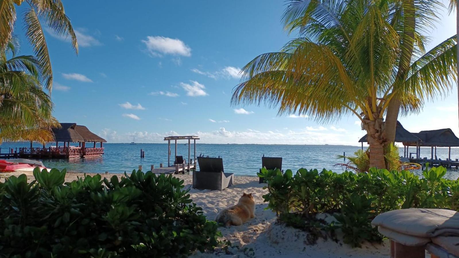 Cancun Private Apartment Buitenkant foto